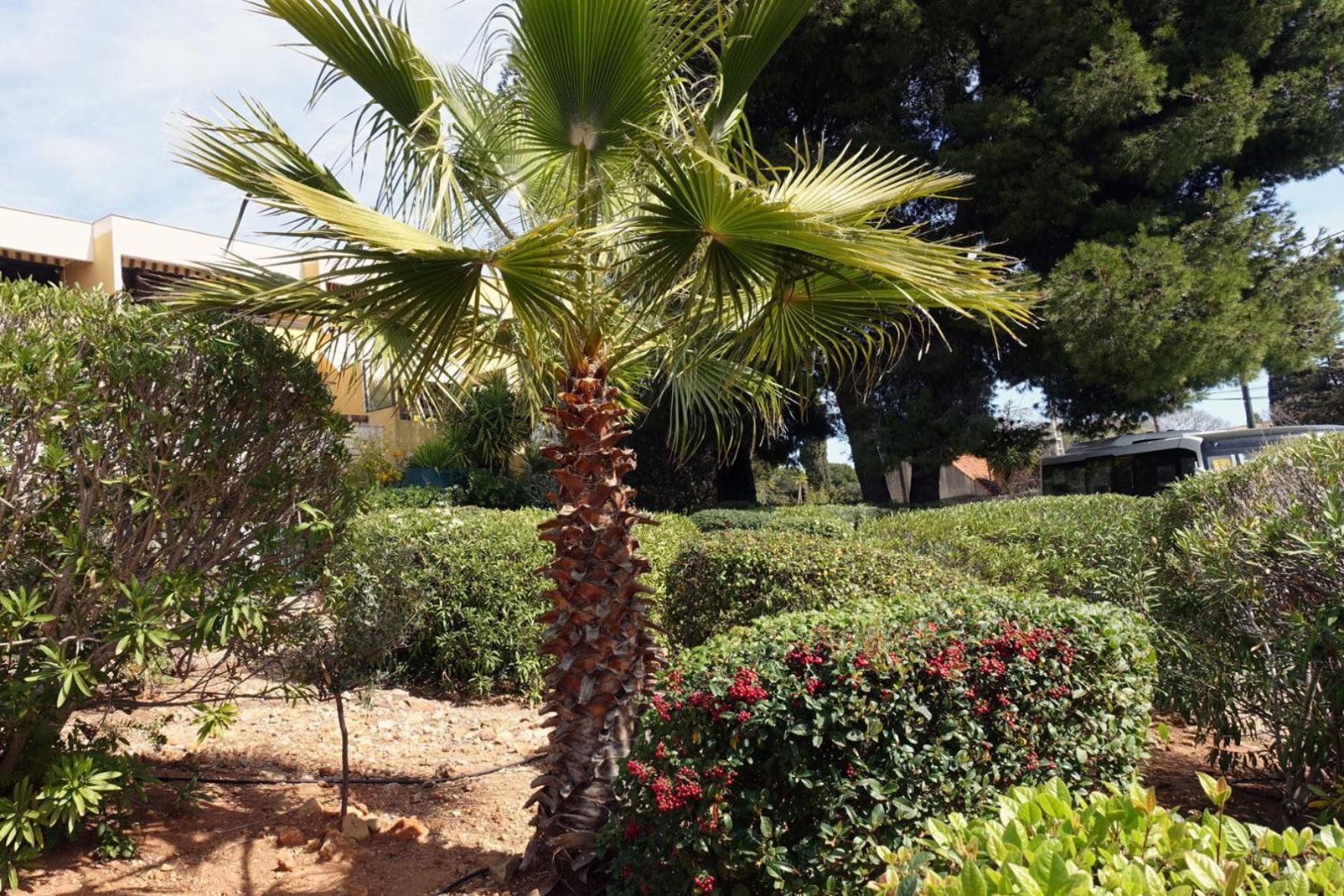 Les Jardins De Bandol, Piscine Privee, Belle Vue Mer Exterior photo