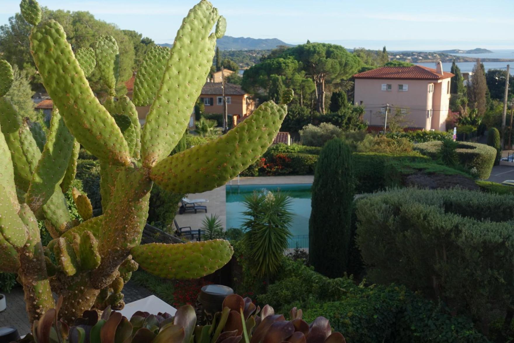 Les Jardins De Bandol, Piscine Privee, Belle Vue Mer Exterior photo